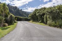 Mountain Highway: A Lush Landscape Adventure