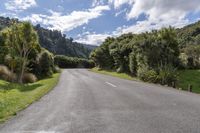 Mountain Highway: A Lush Landscape Adventure