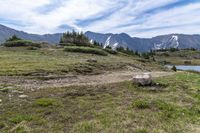 a dirt path going across a grassy valley to a mountain range with pine trees and snow capped mountain tops