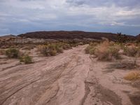 Mountain Landforms: Off-Road Adventure on a Grass Surface