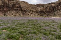 Mountain Landforms in Utah: Open Space in Nature