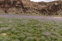 Mountain Landforms in Utah: Open Space in Nature