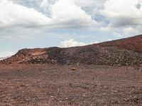 a large pile of dirt on top of a dirt covered field next to some trees