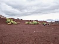 a mountain with bushes and dirt in the foreground, clouds hovering above, and red sand on the ground