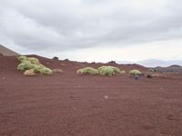 a mountain with bushes and dirt in the foreground, clouds hovering above, and red sand on the ground