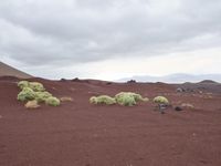 a mountain with bushes and dirt in the foreground, clouds hovering above, and red sand on the ground