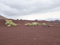 a mountain with bushes and dirt in the foreground, clouds hovering above, and red sand on the ground