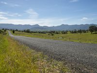 a road leads to the horizon surrounded by green trees and grass and mountains in the distance