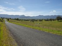 a road leads to the horizon surrounded by green trees and grass and mountains in the distance