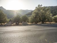 a person riding on a bike on an empty road near some trees, in the early hours