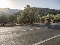 a person riding on a bike on an empty road near some trees, in the early hours