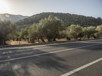 a person riding on a bike on an empty road near some trees, in the early hours