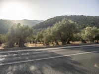 a person riding on a bike on an empty road near some trees, in the early hours