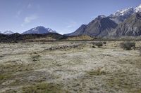 view from the top of mountain of sheep grazing in a barren plain below mountains with snow capped peaks