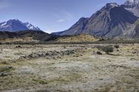 view from the top of mountain of sheep grazing in a barren plain below mountains with snow capped peaks