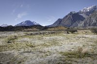 view from the top of mountain of sheep grazing in a barren plain below mountains with snow capped peaks