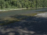 a person sitting on a rock in the middle of the water, reading a book next to a river