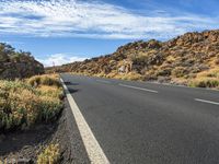 empty road lined with shrubs under a blue sky with clouds above and small vegetation below