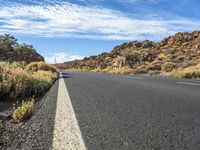 empty road lined with shrubs under a blue sky with clouds above and small vegetation below