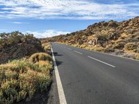 empty road lined with shrubs under a blue sky with clouds above and small vegetation below