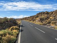 empty road lined with shrubs under a blue sky with clouds above and small vegetation below