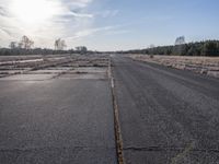 Mountain Landscape: A Road Lined with Trees and Sunlight