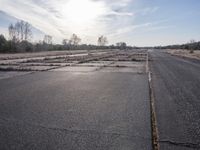 Mountain Landscape: A Road Lined with Trees and Sunlight