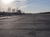 Mountain Landscape: A Road Lined with Trees and Sunlight