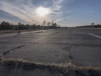 Mountain Landscape: A Road Lined with Trees and Sunlight