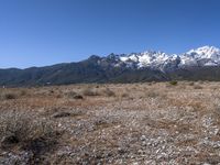 Mountain Landscape: Scenic View of China