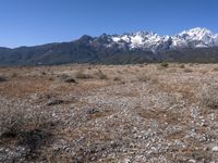 Mountain Landscape: Scenic View of China