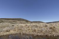 a pond with dried grass at the bottom of it on the side of a mountain