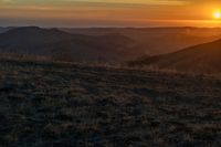 a person that is sitting on a hill with some horses by a sunset on a clear day