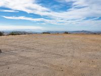 a field in the desert with no people around it and the blue sky above a tree