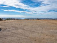 a field in the desert with no people around it and the blue sky above a tree