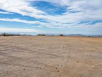 a field in the desert with no people around it and the blue sky above a tree