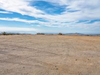 a field in the desert with no people around it and the blue sky above a tree