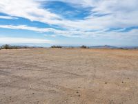 a field in the desert with no people around it and the blue sky above a tree