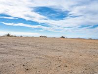 a field in the desert with no people around it and the blue sky above a tree