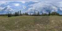 a blue and white sky above a mountain meadow surrounded by trees and pine trees in the distance