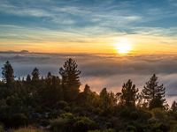 a very pretty view with fog in the foreground and the sun setting over the horizon