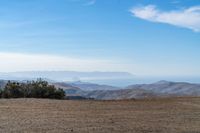 a person walking alone in the desert with trees on a hill top behind them, and mountains in the distance