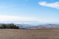 a person walking alone in the desert with trees on a hill top behind them, and mountains in the distance