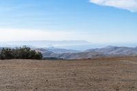 a person walking alone in the desert with trees on a hill top behind them, and mountains in the distance