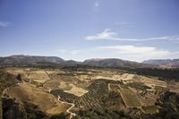 a large hillside on a bright sunny day with many buildings and hills in the background