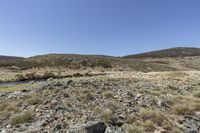 Mountain River Landscape Nature Grass 001