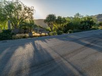 a parking lot near a tree lined street with the sun shining in the distance behind it