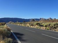 Mountain Road: Asphalt in the Canary Islands