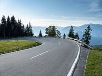 the winding road is surrounded by pine trees on a mountain side near the ocean shore