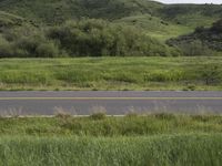 Mountain Road in California: Scenic Beauty in Nature's Playground